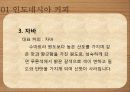 커피학개론, 인도네시아 커피, 브라질 커피 9페이지