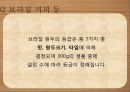 커피학개론, 인도네시아 커피, 브라질 커피 12페이지