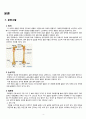 A+ 폐쇄성 대퇴 전자하 골절 간호진단5개 간호과정2개+이론적근거 4페이지