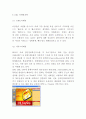 DHL 기업분석과 SWOTSTP분석및 DHL 마케팅사례분석과 향후방향제시 9페이지