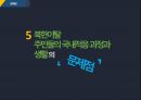 북한이탈가족 PPT(북한이탈주민 북한이탈주민현황 북한이탈가족문제 북한이탈가족사회복지 개선방안) 프레젠테이션 10페이지