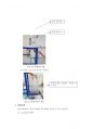 레이놀즈 실험 보고서 5페이지