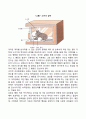 프로이드 에릭슨 파블로프 스키너 반두라 피아제의 이론(정신분석이론 행동주의이론 사회학습이론 인지발달이론) 32페이지