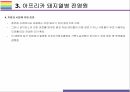 돼지열병 개념 증상 문제와 해결방법 11페이지