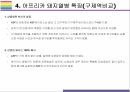 돼지열병 개념 증상 문제와 해결방법 13페이지