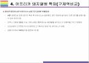 돼지열병 개념 증상 문제와 해결방법 14페이지