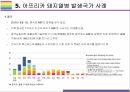돼지열병 개념 증상 문제와 해결방법 16페이지