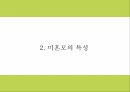 미혼모 정의 특성 실태분석및 국내 해외 미혼모 복지서비스 사례분석및 미혼모 문제점과 해결방안제시 PPT 6페이지
