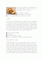 올바른 식재료 선택 및 보관법에 대한 보고서 5페이지