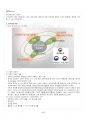2019년 2학기 사회복지현장실천론 기말시험 핵심체크 5페이지