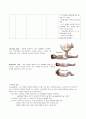세균성 수막염 (Bacterial Meningitis)
 3페이지