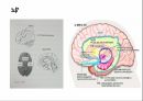 [독후감 서평] 괴물의 심연 - 사이코패스가 쓴 사이코패스에 대한 이야기 책 내용 풍부하게 담은 자료 14페이지