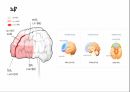 [독후감 서평] 괴물의 심연 - 사이코패스가 쓴 사이코패스에 대한 이야기 책 내용 풍부하게 담은 자료 25페이지