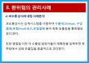 환위험 관리 사례 분석 레포트 14페이지
