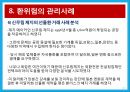 환위험 관리 사례 분석 레포트 18페이지