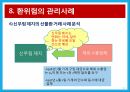 환위험 관리 사례 분석 레포트 19페이지