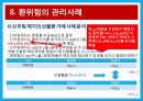 환위험 관리 사례 분석 레포트 20페이지