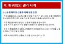 환위험 관리 사례 분석 레포트 21페이지