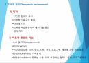활동치료와 환경치료 레포트 22페이지
