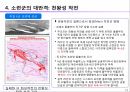 2차대전사-스탈린그라드 공방전 11페이지