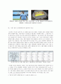 에티하드(Etihad) 항공의 발전과 성공전략 6페이지