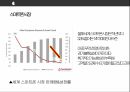 애플 차별화전략 PPT 25페이지