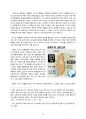 시리아 이집트 정치 사회 연구 레포트 22페이지