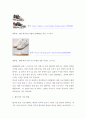 자료조사 ) 메종마르지엘라 디자이너조사  4페이지