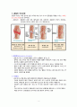 보건진료소 지역사회간호학 실습 - 골절에 대하여 4페이지