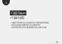 다음과 카카오 분석 레포트 3페이지