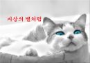 지상의별처럼 사회복지관점 영화감상문(장애인주인공 주의력결핍장애 ADHD 난독증)PPT 프레젠테이션 1페이지