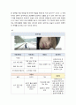 인문학과 콘텐츠) 문화콘텐츠 분석 뮤직 비디오 BTS의 뮤직 비디오 봄날 에 대한 문화 콘텐츠 가치 5페이지