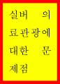 실버 의료관광에 대한 문제점 1페이지
