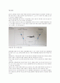 비행성능에 대하여 3페이지