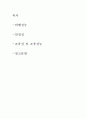 비행성능에 대하여 5페이지