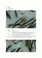 두피 및 모발관리 스켈링적용에 대하여 5페이지