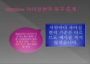 사회복지학과 기초심리학 _ 매슬로우에 대하여 14페이지