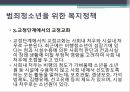 사회복지학과 사회문제론 _ 청소년 범죄와 비행에 대하여 PPT 11페이지