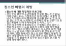 사회복지학과 사회문제론 _ 청소년 범죄와 비행에 대하여 PPT 12페이지