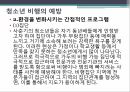 사회복지학과 사회문제론 _ 청소년 범죄와 비행에 대하여 PPT 13페이지