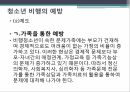 사회복지학과 사회문제론 _ 청소년 범죄와 비행에 대하여 PPT 14페이지