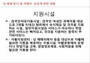 사회복지학과 사회복지정책론 PPT _ 성 매매 방지 및 피해자 보호에 관한 법률 8페이지