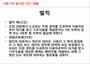 사회복지학과 사회복지정책론 PPT _ 성 매매 방지 및 피해자 보호에 관한 법률 64페이지