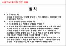 사회복지학과 사회복지정책론 PPT _ 성 매매 방지 및 피해자 보호에 관한 법률 65페이지
