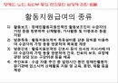 사회복지학과 사회복지정책론 PPT _ 성 매매 방지 및 피해자 보호에 관한 법률 81페이지
