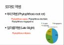 토마토 주요 병해 진단 및 처방 24페이지