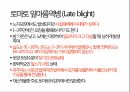 토마토 주요 병해 진단 및 처방 26페이지