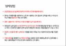 토마토 주요 병해 진단 및 처방 41페이지