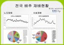배추 주요 병해 진단 및 처방 6페이지