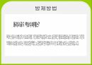 배추 주요 병해 진단 및 처방 18페이지